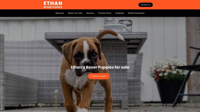 Ethanboxerpuppies.com - Boxer Puppy Scam Review