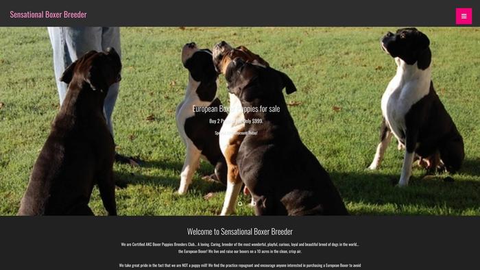 Euboxerbreeders.com - Boxer Puppy Scam Review