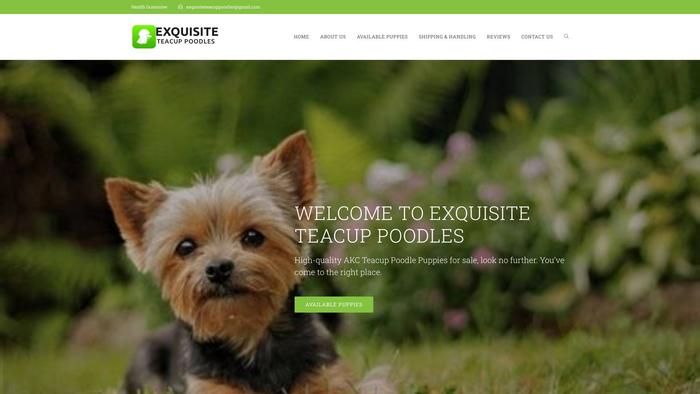 Exquisiteteacuppoodles.com - Poodle Puppy Scam Review