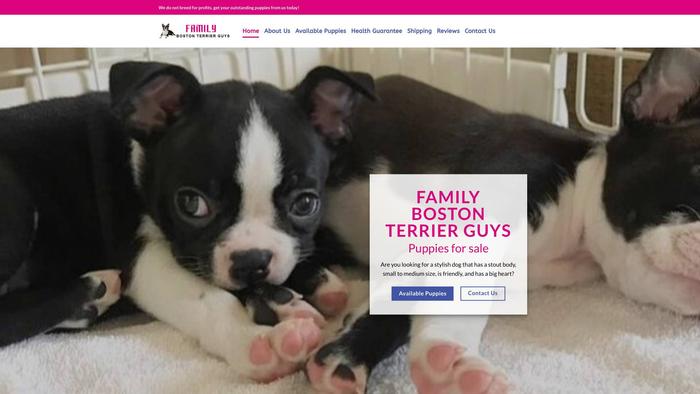 Familybostonterrierguys.com - Boston Terrier Puppy Scam Review