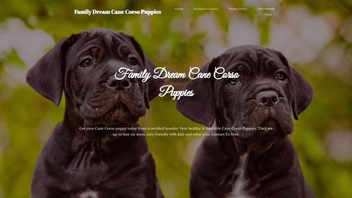 Familydreamcanecorsopuppies.com - Cane Corso Puppy Scam Review