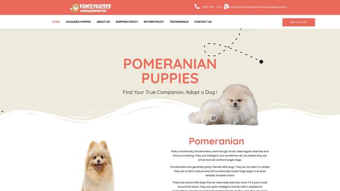 Familyraisedpomeranianpuppies.online - Pomeranian Puppy Scam Review