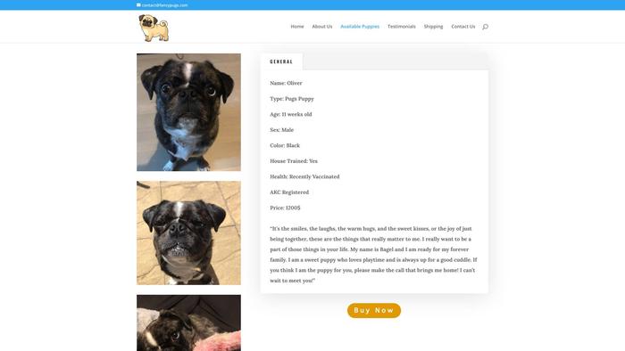 Fancypugs.com - Pug Puppy Scam Review