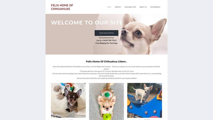 Felixhouseofchihuahuas.net - Chihuahua Puppy Scam Review