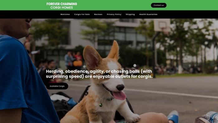 Forevercharmingcorgihomes.com - Corgi Puppy Scam Review