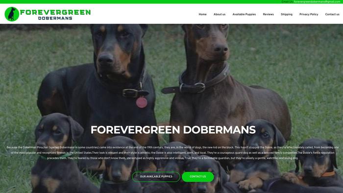 Forevergreendobermans.com - Doberman Pinscher Puppy Scam Review