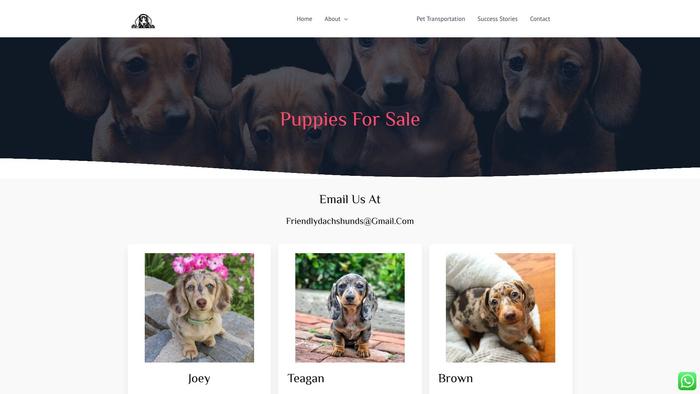 Friendlydachchsunds.com - Dachshund Puppy Scam Review