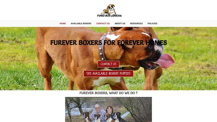 Fureverboxers.com - Boxer Puppy Scam Review