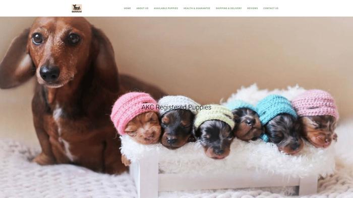 Gdachshundhome.com - Dachshund Puppy Scam Review