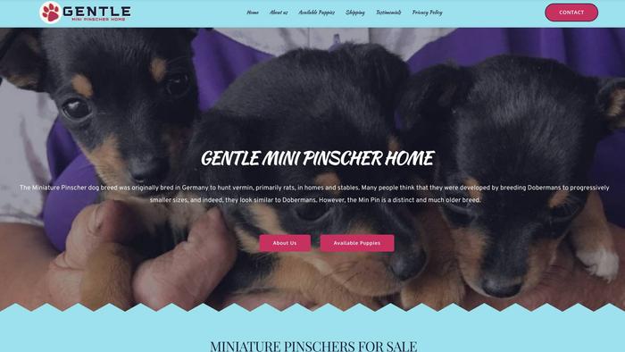 Gentleminipinscherhome.com - Doberman Pinscher Puppy Scam Review