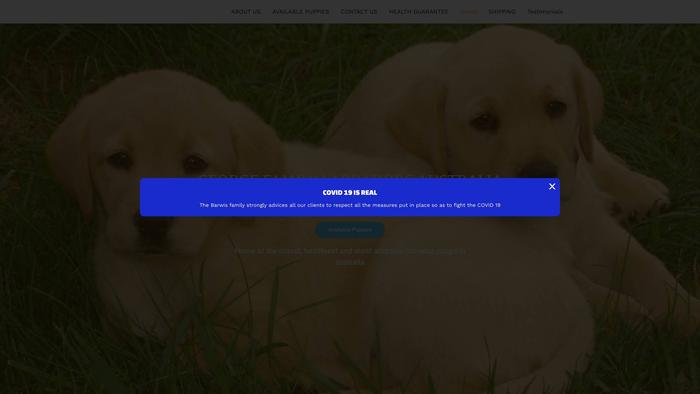 Georgefamilylabradorsau.com - Labrador Puppy Scam Review