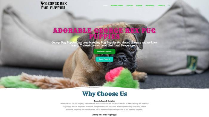 Georgerexpugpuppies.com - Pug Puppy Scam Review