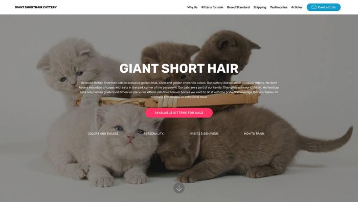 Giantshorthaircattery.com - British Shorthair Puppy Scam Review