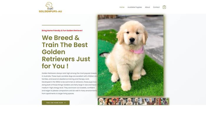 Goldenpups-au.com - Golden Retriever Puppy Scam Review