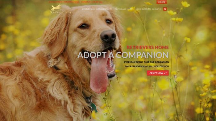 Goldenretrieverpetshome.com - Golden Retriever Puppy Scam Review