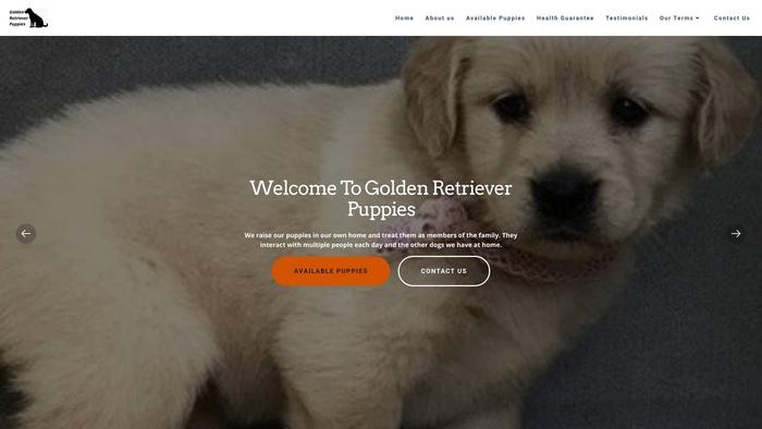 Goldenretrieversco.com - Golden Retriever Puppy Scam Review