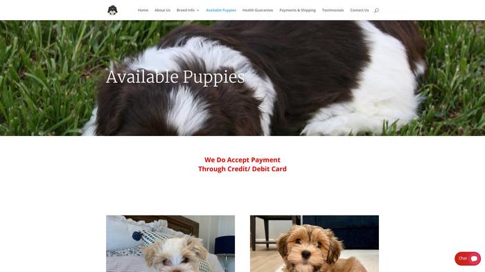 Gorgeoushavanesepuppies.com - Havanese Puppy Scam Review