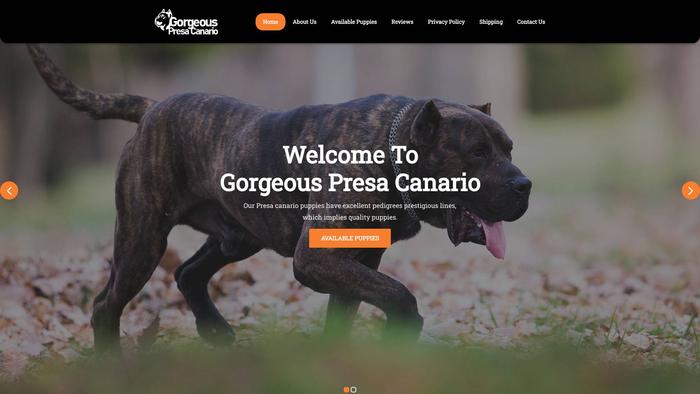 Gorgeouspresacanario.com - Cane Corso Puppy Scam Review