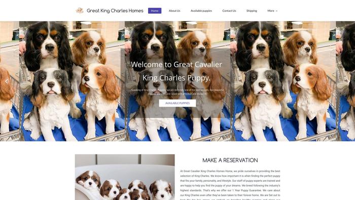 Greatkingcharlespuppies.com - Cavalier King Charles Spaniel Puppy Scam Review