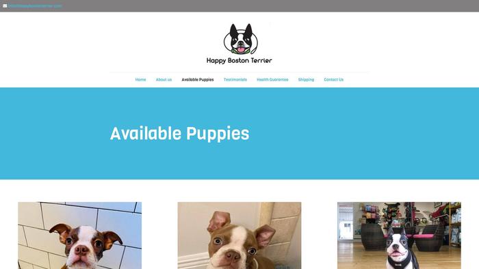 Happybostonterrier.com - Boston Terrier Puppy Scam Review