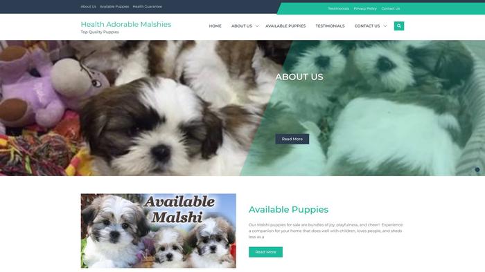 Healthyadorablemalshies.com - Maltese Puppy Scam Review