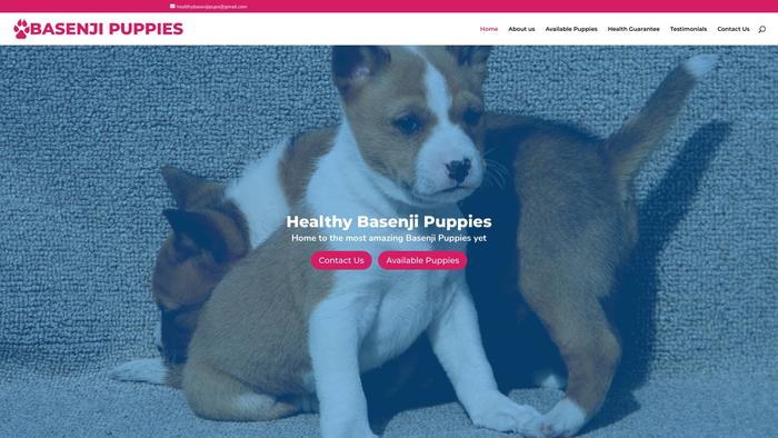 Healthybasenjipups.com - Basenji Puppy Scam Review