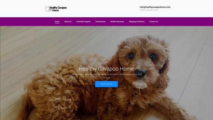 Healthycavapoohome.com - Cavapoo Puppy Scam Review