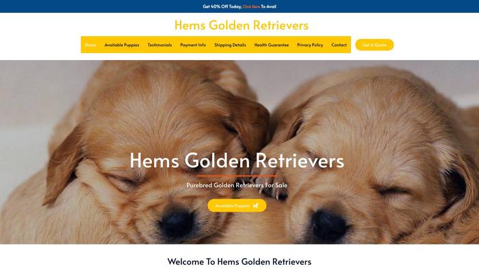 Hemsgoldenretrievers.com - Golden Retriever Puppy Scam Review