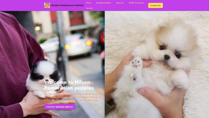 Hilsonpomeranianpups.com - Pomeranian Puppy Scam Review