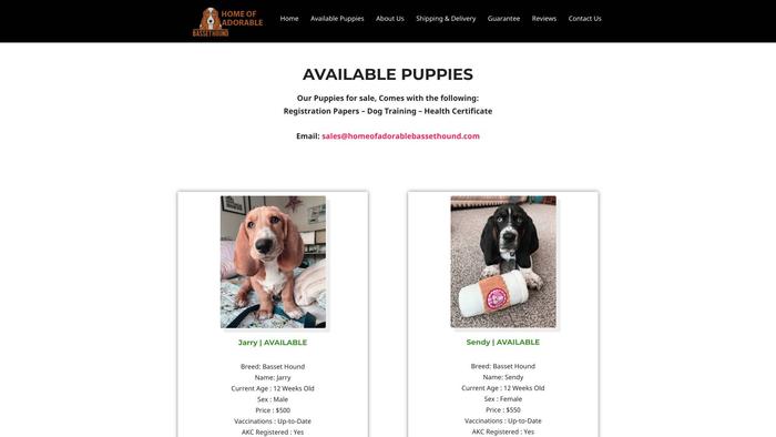 Homeofadorablebassethound.com - Bassethound Puppy Scam Review