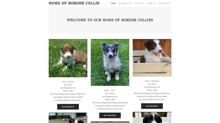 Homeofbordercolliepups.com - Bordercollie Puppy Scam Review