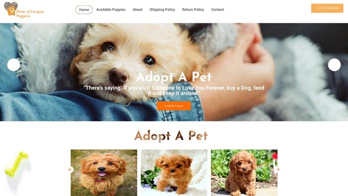 Homeofcavapoopuppies.com - Cavapoo Puppy Scam Review