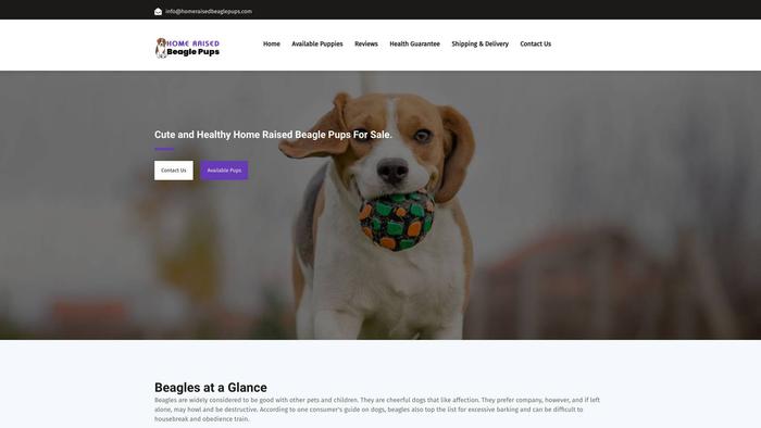 Homeraisedbeaglepups.com - Beagle Puppy Scam Review