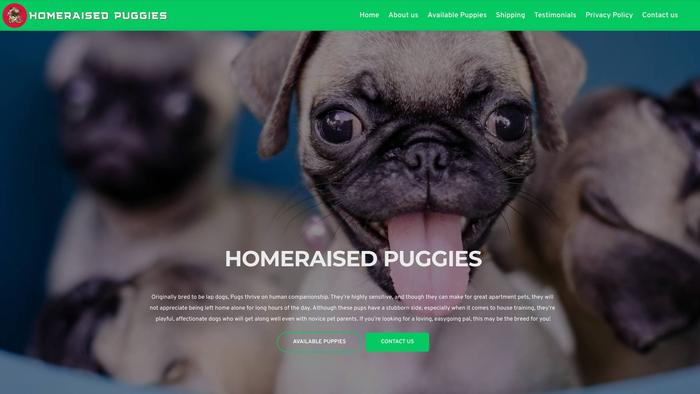 Homeraisedpuggies.com - Pug Puppy Scam Review