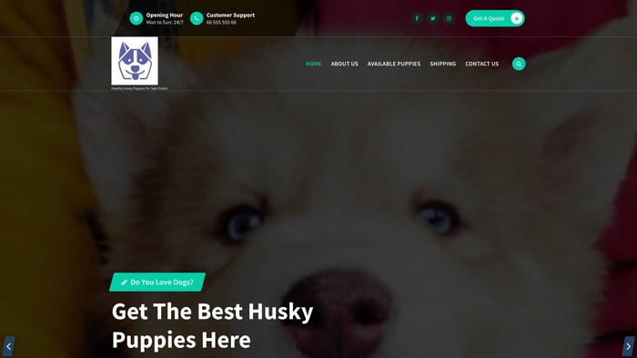 Huskypupshome.com - Husky Puppy Scam Review