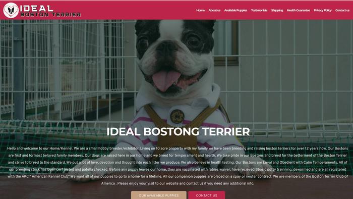 Idealbostonterrier.com - Boston Terrier Puppy Scam Review