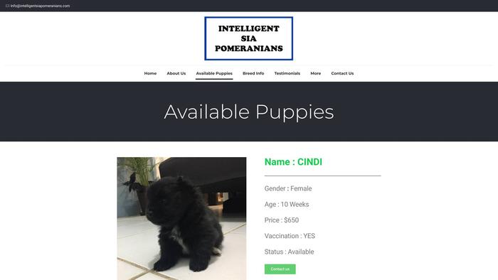 Intelligentsiapomeranians.com - Pomeranian Puppy Scam Review