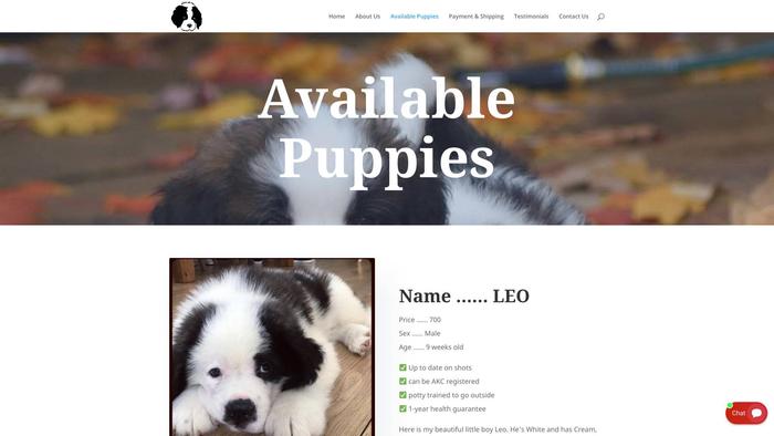 Jakosaintbernardbreeders.com - Saint Bernard Puppy Scam Review