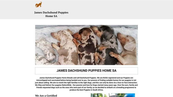 Jamesdachshundhomeza.com - Dachshund Puppy Scam Review