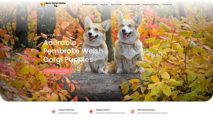 Jarucorgihome.com - Corgi Puppy Scam Review