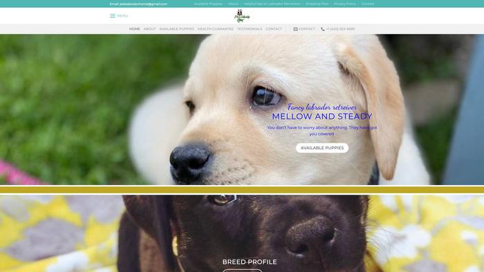 Jedalabradorhome.com - Labrador Puppy Scam Review