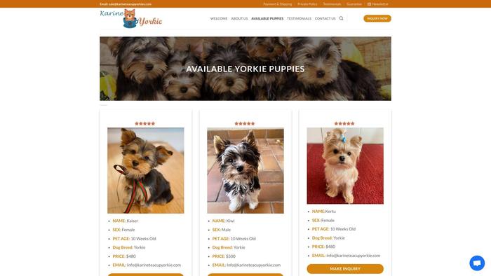 Karineteacupyorkie.com - Yorkshire Terrier Puppy Scam Review