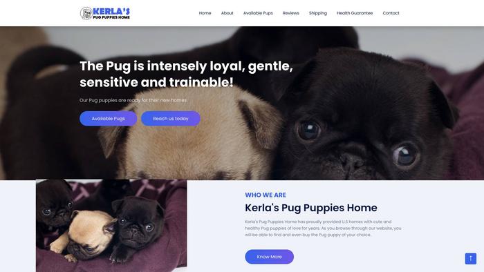 Kerlaspugpuppieshome.com - Pug Puppy Scam Review