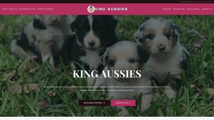 Kingaussies.com - Australian Shepherd Puppy Scam Review