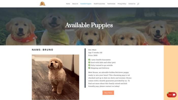 Kinggoldenretriever.com - Golden Retriever Puppy Scam Review