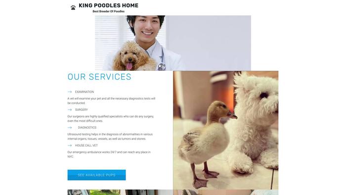 Kingpoodleshome.net - Poodle Puppy Scam Review