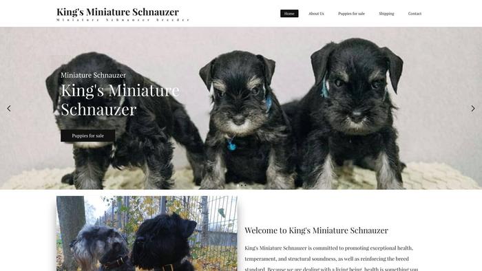 Kingsminiatureschnauzer.com - Schnauzer Puppy Scam Review