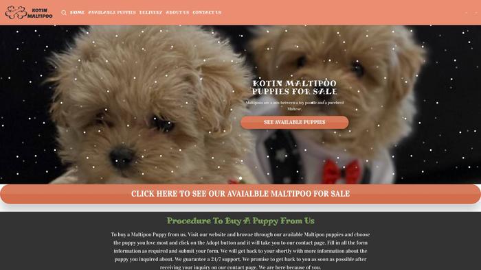 Kotinmatipoo.com - Maltipoo Puppy Scam Review