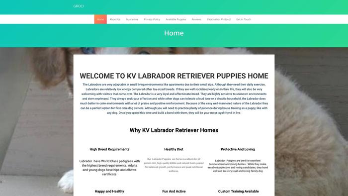 Kvlabradorpuppies.com - Labrador Puppy Scam Review