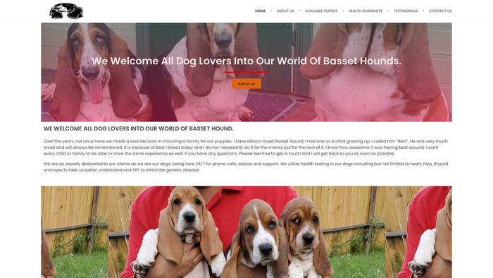 Kymbowenbasssethoundhome.com - Bassethound Puppy Scam Review